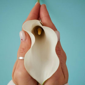 labioplastie Clinica Prestige Bucuresti (2)